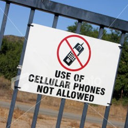 Pramugari Gaptek, Pengguna iPhone Dibekuk Polisi