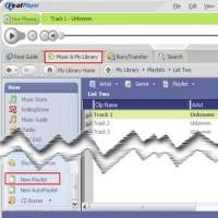 Celah di Real Player Diobok-obok