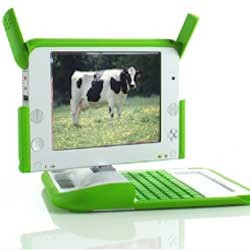 Laptop Murah Bakal Pakai Tenaga Sapi?