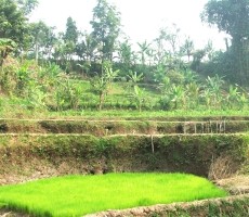 Toer de Cianjur: jam 6.30 Teng!