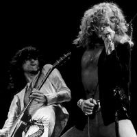 Reuni Led Zeppelin Ditunda, Penggemar Ngamuk