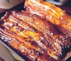 Unagi, Oishii dan Sarat Gizi