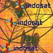 Indosat Alokasikan Rp 8,5 T untuk Ekspansi Jaringan