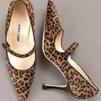 Leopard yang Menarik Perhatian