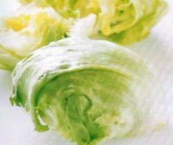 Sajian Lettuce yang Renyah & Segar