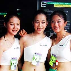 AMD Siapkan Prosesor Gado-Gado 