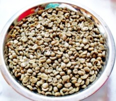 Kopi Luwak Muahaal Banget!!!