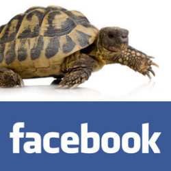 Facebook, Situs Jejaring Sosial Paling Lelet