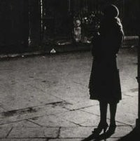 Kupu-kupu Malam Bukan Keindahan