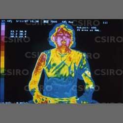 Tubuh Manusia Bisa Isi Ulang Baterai?