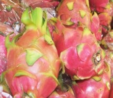 Naga Penurun Kolestrol