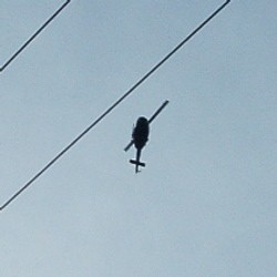 Mau Workshop TIK, Disambut Letusan Senjata