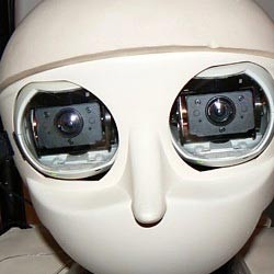 Robot Bantu Orang yang Tersesat di Keramaian