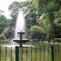 Paru Kota yang Sarat Hikayat