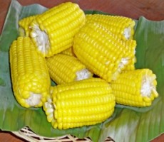 Jangan Remehkan Jagung