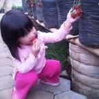 Mikayla, 3,1 Tahun; Perempuan; f