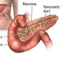Pankreas Berpenyakit Dilelang Rp 4,6 M di Internet