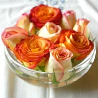 Hot Deco: Mawar untuk Pemanis Ruangan