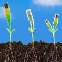 IBM Dapat Rapor Paling Hijau