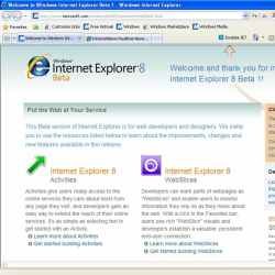 Internet Explorer 8 Mulai Dibocorkan