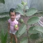 Naura Syahirah Salsabilla, 2,11 Tahun; Perempuan; f