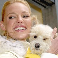 Anjing Chic Berkalung Hermes 