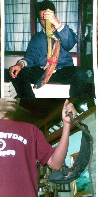 Pisang Aneh Miliki Batu Ali