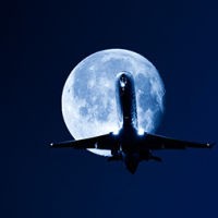 Swiss Buka Penerbangan Lokal Malam