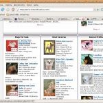 Berbagi Cerita Tentang Chihuahua