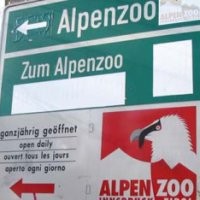 Bonbin Tertinggi Ada di Innsbruck