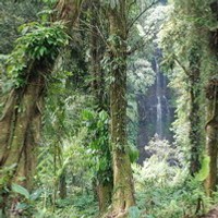 UU/PP Kok Digadaikan Demi Utang