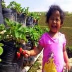 Khayla Firzana Dianita, 2,10 Tahun; Perempuan; f