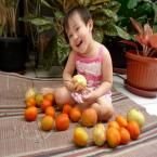 Eleora Jacinta Zareka, 2,11 Tahun; Perempuan; f