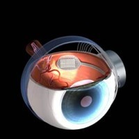 Mata Elektronik Bikin Tuna Netra Bisa Melihat?