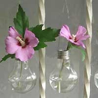 Sulap Bohlam Bekas Menjadi Vas Cantik