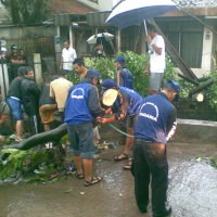 Selokan Terhambat Pohon, Air Menggenangi Rumah Warga