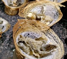 Krenyes-krenyes... Kulit Ikan Goreng