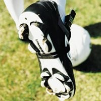 Urusi Sepatu Berhadiah Mercy