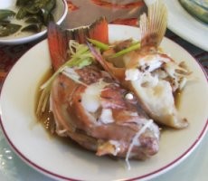 Stop Membuang Makanan Sisa!