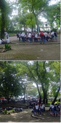 Taman Centrum, Miliknya Putih Abu-abu