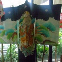 Warna-warni Jepang Suguhan Hikaru