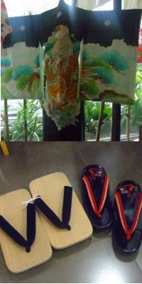 Warna-warni Jepang Suguhan Hikaru