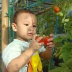 Vania Anandita Haryadi, 2,9 Tahun; Perempuan; f