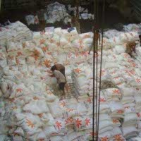 BBM Naik, Jatah Raskin Diperpanjang Sampai Desember 2008  