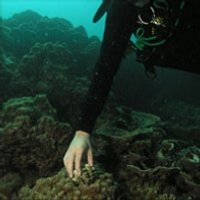 Eco-friendly Diving Demi Lingkungan