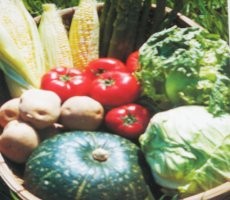 Siasat Belanja Hemat