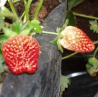 Wisata Alam Bandung Selatan (1)