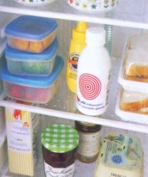 Lemari Es Rapi, Hemat Energi