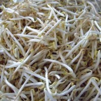 Tauge, Kecambah Murah Kaya Manfaat