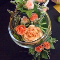 Bunga Sutera, Kemewahan yang Tahan Lama